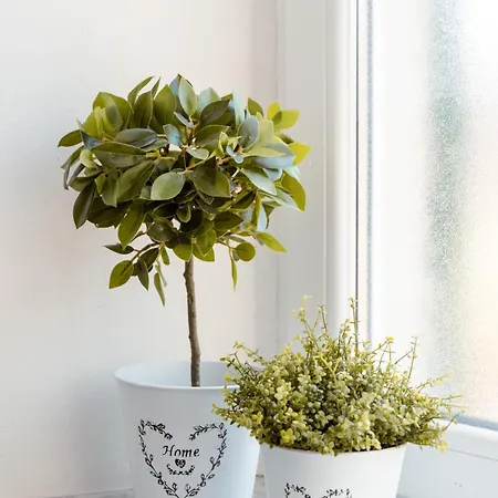 The Railway 74 Bed & Breakfast 4*