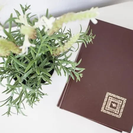 לינה וארוחת בוקר The Railway 74 לה ספציה