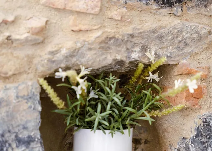 Alojamento de Acomodação e Pequeno-almoço The Railway 74 La Spezia