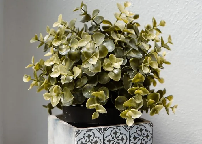 Alojamento de Acomodação e Pequeno-almoço The Railway 74 La Spezia