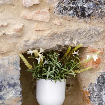 Bed & Breakfast The Railway 74 La Spezia