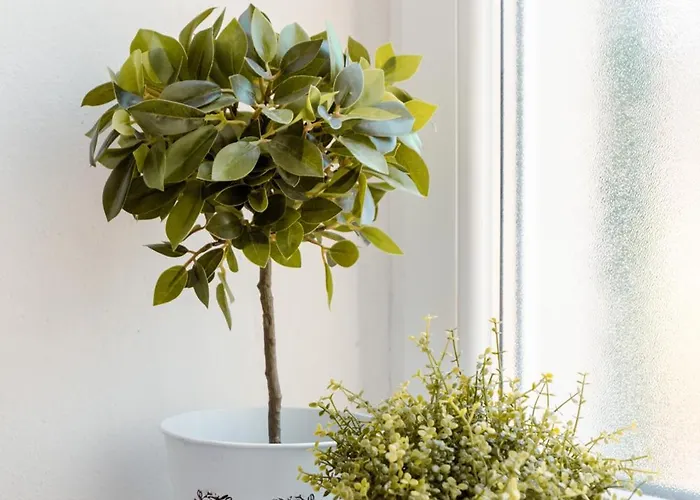 The Railway 74 Отель типа 